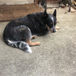 Meet your Posher, Stuart